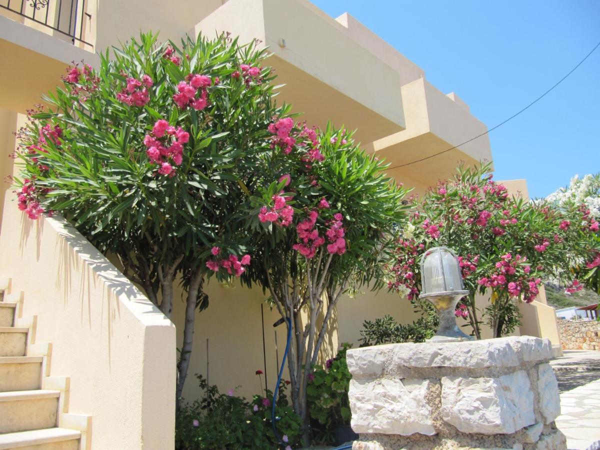 Diakofti Eugenia Travasarou Sea View Appartments מראה חיצוני תמונה